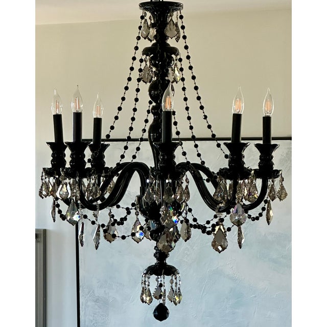 Stunning MC Noon Crystal 8-light black chandelier with satin crystals, purchased directly from MC Noon Crystal Import on...