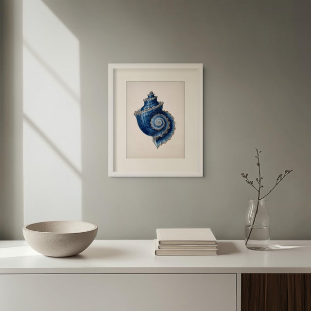 Set of 6 – Blue Conch Shells Collection | Coastal Natural History Fine Art Prints For Sale - Image 10 of 14