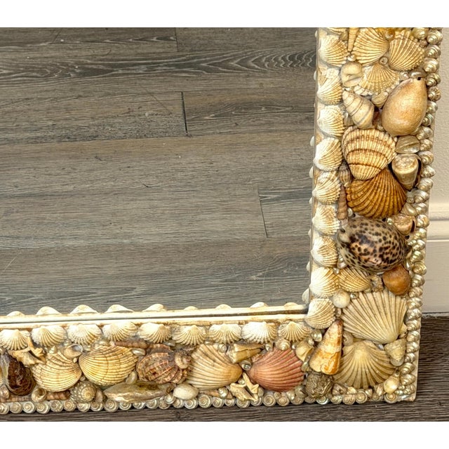 1960s Coastal Bohemian Specimen Shell Encrusted Mirror with Tiger Cowries For Sale - Image 14 of 14