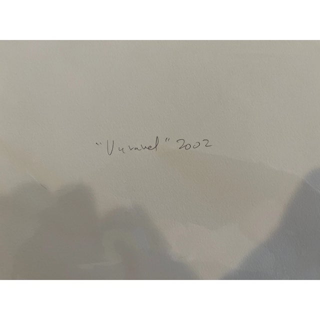 Germán Herrera "Unravel" Limited Edition Signed Pigment Print (18/20), 2002 For Sale - Image 4 of 5