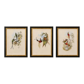 1990s Framed Prints, Set of 3, Crimson Topaz, Fiery Topaz, and Black-Capped Hummingbirds Hill House Editions For Sale