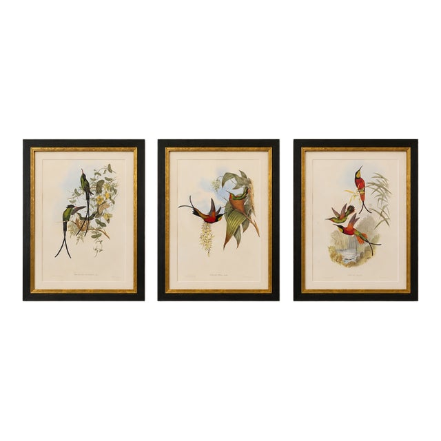 1990s Framed Prints, Set of 3, Crimson Topaz, Fiery Topaz, and Black-Capped Hummingbirds Hill House Editions For Sale