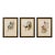 1990s Framed Prints, Set of 3, Crimson Topaz, Fiery Topaz, and Black-Capped Hummingbirds Hill House Editions For Sale