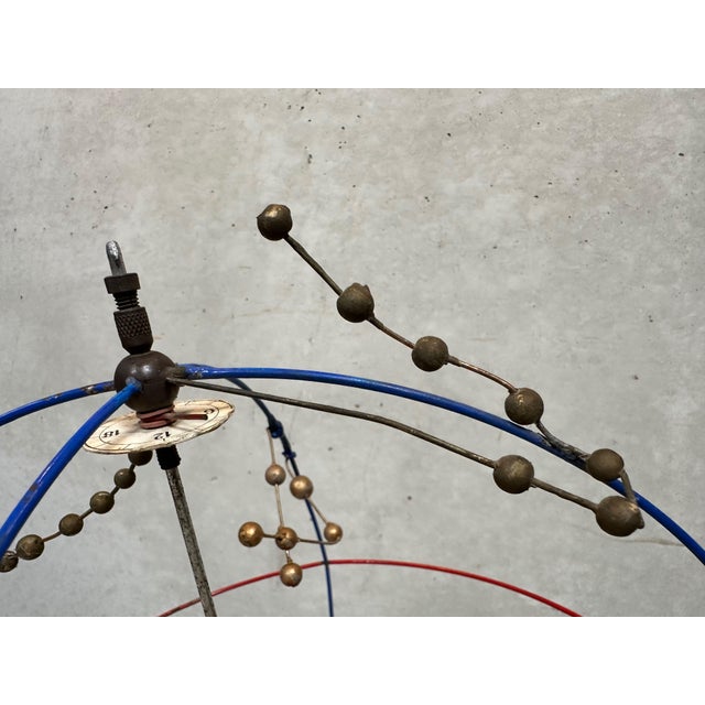 Vintage Didactic Model Cinhelium from F. Cambier, 1920s For Sale - Image 6 of 11
