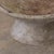 Willy Guhl 31" Concrete Bowl Planter, 1960s For Sale - Image 10 of 15