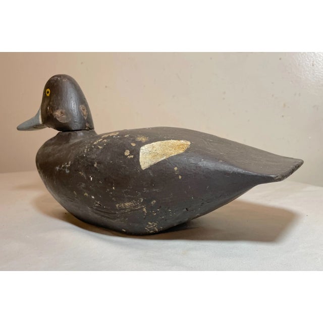 Antique Hand Carved Wood Folk Art MSH Bluebill Drake Duck Decoy Bird Sculpture For Sale - Image 9 of 12