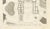 Louis-Pierre Baltard, Plan of the Château De Saint-Cloud First Floor, 1803, Engraving For Sale - Image 4 of 9