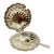 Vintage Silver-Plated Shell Butter Dish & Caviar Server With Spreader and Glass Liner For Sale