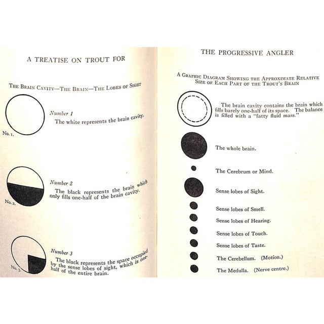 Paper "A Treatise on Trout for the Progressive Angler" 1931 Southard, Charles Zibeon For Sale - Image 7 of 10