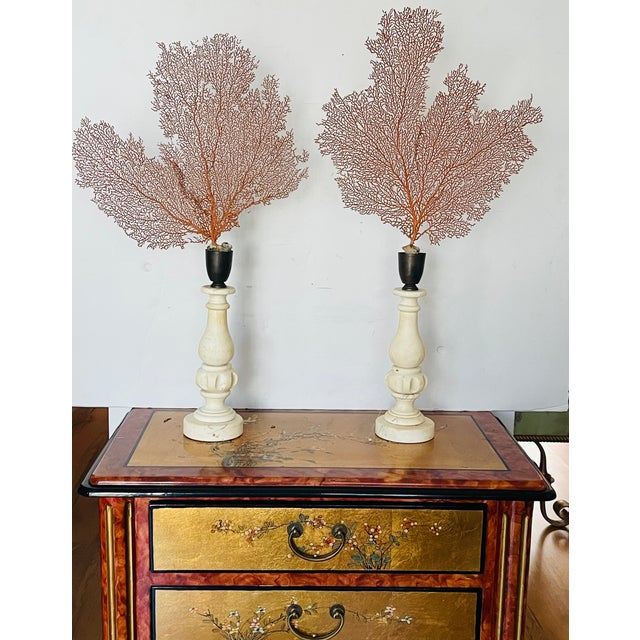 Contemporary Organic Modern Pair of Sea Whip Branches on Alabaster Bases For Sale - Image 3 of 9