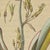 Bertuch, New Zealand Flax with Flower Details, 1815, Print For Sale - Image 6 of 12