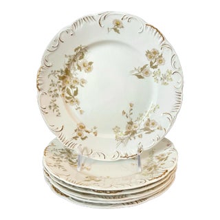 Henry Alcock & Co England Semi Porcelain Daisy Luncheon Dessert Plates Set of 6 For Sale