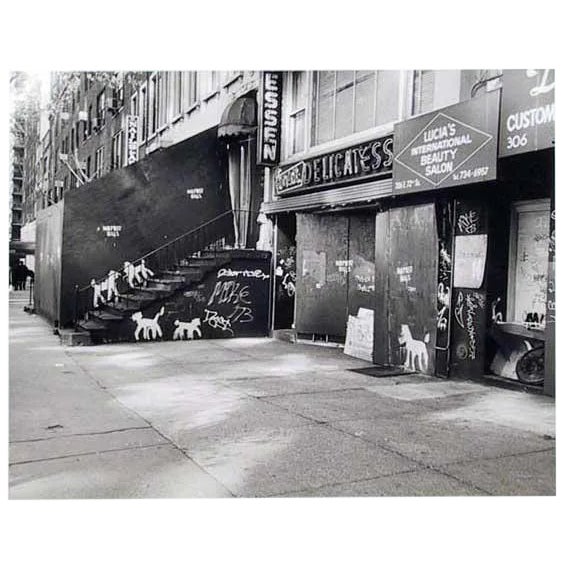 Peter Mayer, New York City Deli With Dogs, Gelatin Silver Print For Sale