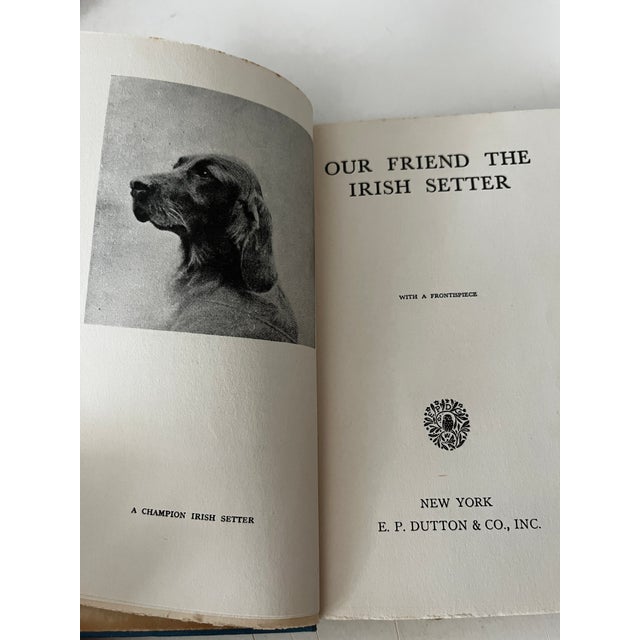 1933 Our Friend the Irish Setter Book For Sale - Image 4 of 6