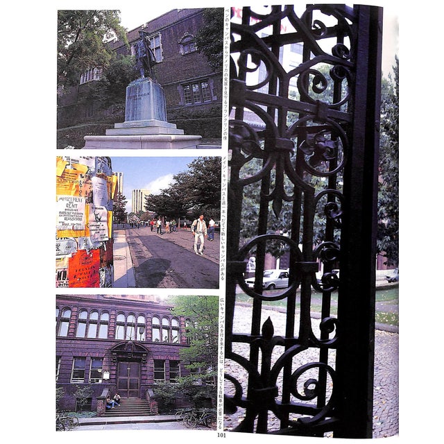 White "The Ivy" 1983 Hayashida, Teruyoshi For Sale - Image 8 of 13