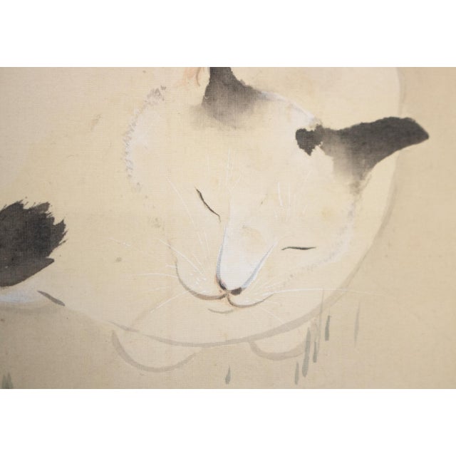 Tan "Sleeping Cat and Peony Flower" by Shuto, Japanese Silk Scroll Watercolor Painting For Sale - Image 8 of 18