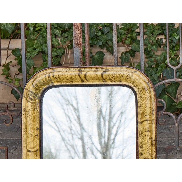French Louis-Philippe Mirror with Faux Tortoiseshell Painted Frame, circa 1850 For Sale - Image 9 of 12