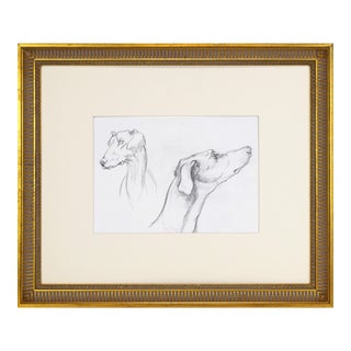 Vintage Pencil Drawing Portrait Study of Greyhound Dogs Late 20th C For Sale