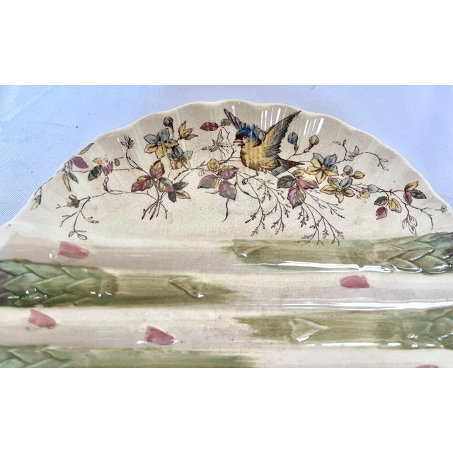 Antique shell shaped asparagus plate. Produced in the late 19th century in Stoke-on-Trent England by William Alsager...