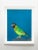 This is a fine art Giclee print on paper titled "Cher". It features a sweet little lime-green parrot with a bright red...