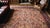 1880s Multicolor Tree of Life Tribal Shrub n.w Antique Bakshaiesh Rug Square Carpet For Sale - Image 11 of 12