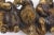 Vintage Signed Arthur Court Bronze Paperweight of Dogs, 1979 For Sale - Image 9 of 9
