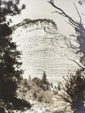 1950's Photograph Candy Mountain