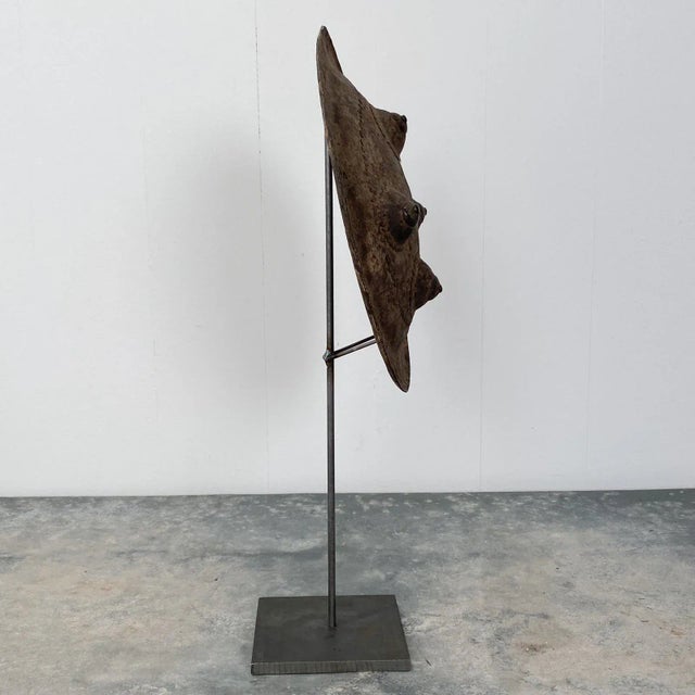 Ottoman Fighting Shield, 17th Century For Sale - Image 4 of 7