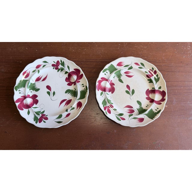 A Very Nice Pair of Antique Staffordshire Early Adam’s Rose Plates, Circa 1830 For Sale - Image 10 of 11