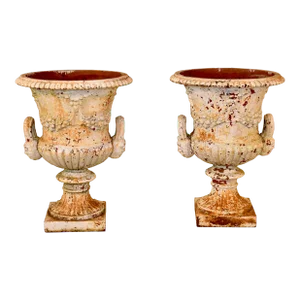 Pair of 19th Century Cast Iron Planters