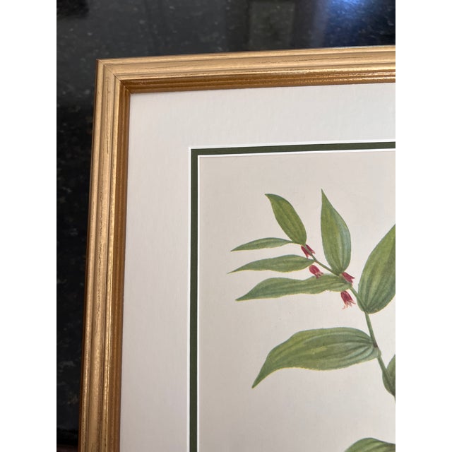 1970s Original Vintage Botanical Prints Framed -Set of 9- 1975 Wild Flower Prints For Sale - Image 5 of 6