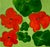 J. Popolin (Cincinnati; 21st century) is a contemporary American Abstract Expressionist artist. Popolin, a native of...