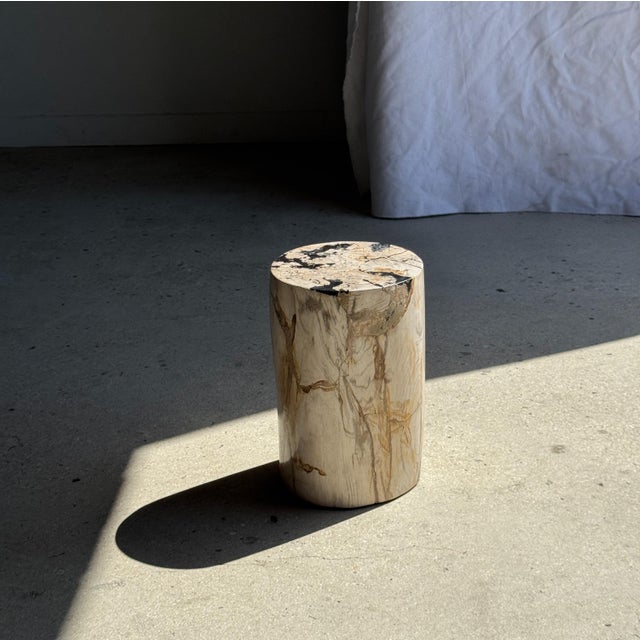Small Side Table in White Petrified Wood Inlaid with Black, 1980s For Sale - Image 11 of 11