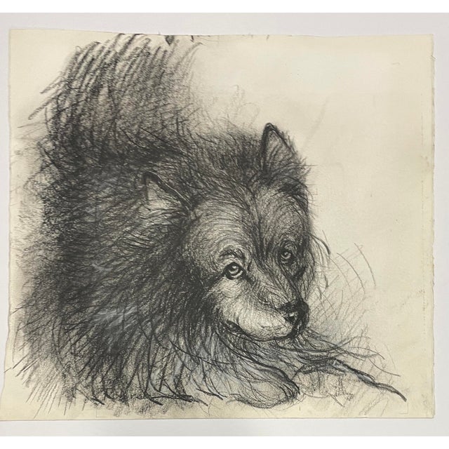 Traditional 1970s Dog Portrait Drawing For Sale - Image 3 of 4