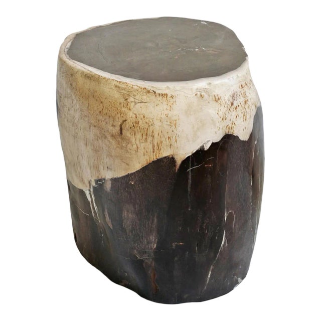 Vintage Petrified Wood Stump Side Table For Sale