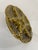 1950s French Gien Majolica Olive Green Oyster Plate For Sale - Image 9 of 13