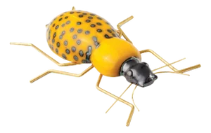 Beetle Sculpture by Mambo Unlimited Ideas