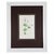 Antique Botanical Print Gallery | Set of 8 F. Edward Hulme Chromolithographs, Framed For Sale In Columbus - Image 6 of 12