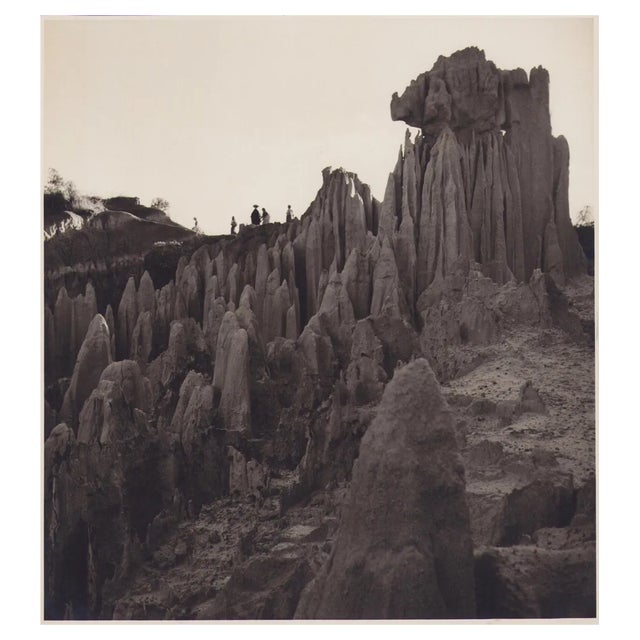 Hanna Seidel, Guatemalan Nature, Black and White Photograph, 1960s For Sale