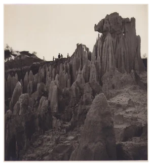 Hanna Seidel, Guatemalan Nature, Black and White Photograph, 1960s