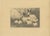 Henri Verstijnen, English Spot Rabbits Wildlife, 1925, Lithograph For Sale