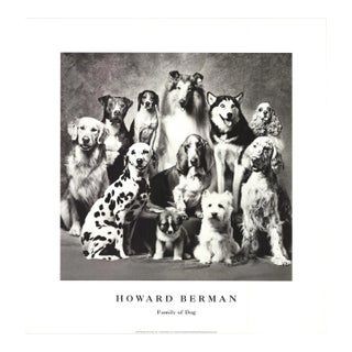 1989 Howard Bernman 'Family of Dog' Photography Offset Lithograph For Sale
