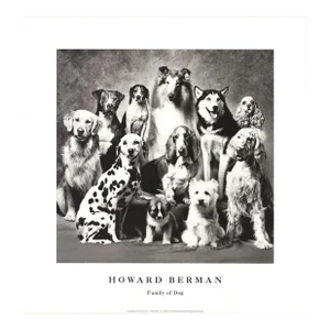 1989 Howard Bernman 'Family of Dog' Photography Offset Lithograph