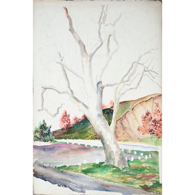 Hillside Trees by Joseph Yeager (early-mid 20th Century) on heavy bond watercolor paper with normal ragged edges. No...