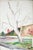 Hillside Trees by Joseph Yeager (early-mid 20th Century) on heavy bond watercolor paper with normal ragged edges. No...