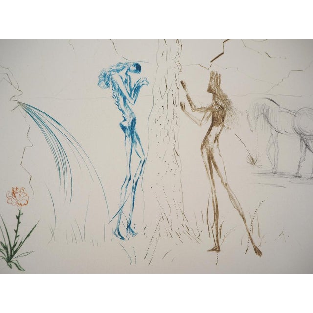 Salvador Dali, Under the Umbrella Pine, 1970, Original Etching For Sale - Image 5 of 7