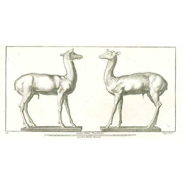 Ancient roman relief, from the series "antiquities of herculaneum", is an original etching on paper realized by vincenzo...