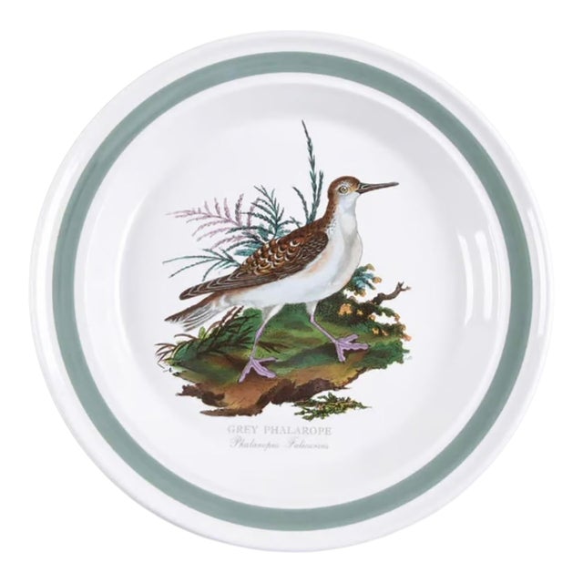 Vintage Portmeirion Birds of Britain Grey Phalarope Dinner Plate, Green Band For Sale