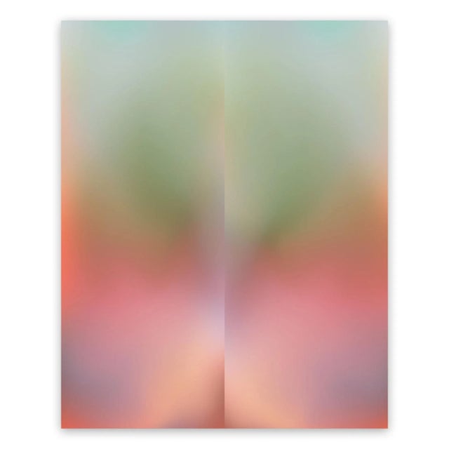 2020s Contemporary Abstract Chromogenic Print Photography "Breathe # 202205" by Paul Snell For Sale - Image 5 of 5