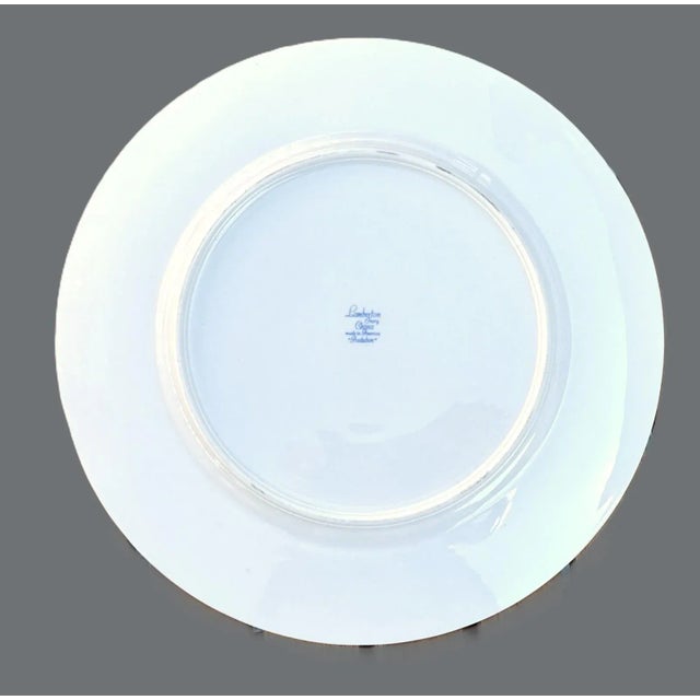 Mid Century Lamberton China Audubon Collection - Bird of Paradise - 8 Dinner Plates For Sale - Image 12 of 13